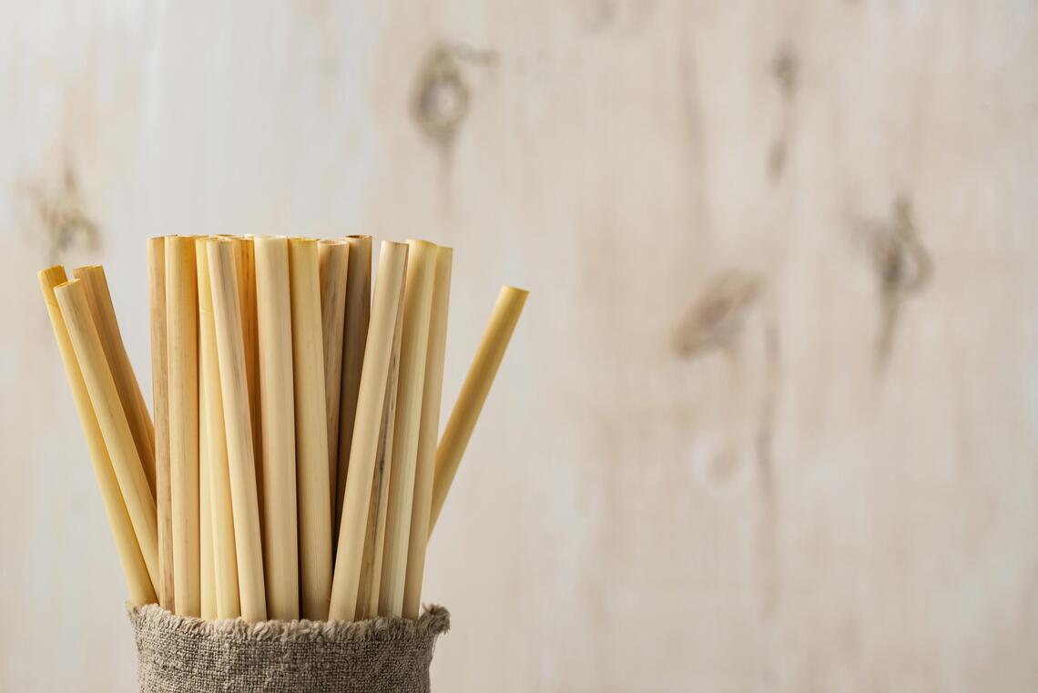 Edible Straws
